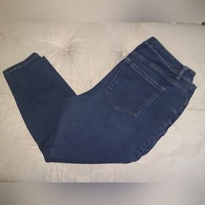 Layne Bryant Signature Midrise Skinny Jeans